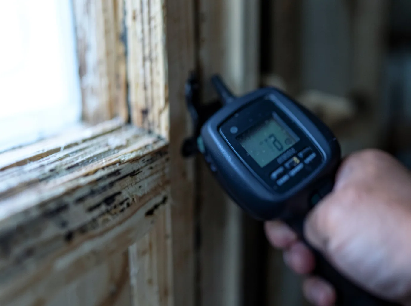 Moisture Inspection And Documentation in Whately, MA
